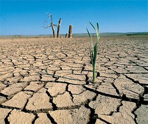 Desarrollo Forestal y Cambio Climático PUCP