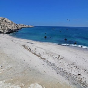 Marco normativo sobre el establecimiento de la Zona Reservada del Pacífico Tropical de&nbsp;Perú