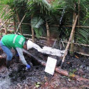 Reiterado derrame de petróleo de Petroperú en Oleoducto Norperuano de Loreto cuestiona manejo estatal y desarticulación ambiental en&nbsp;Perú
