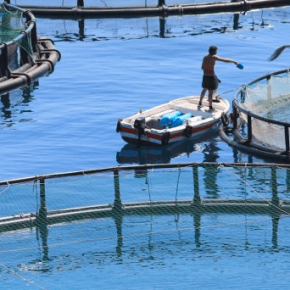 Concesiones y autorizaciones acuícolas por primera vez podrán ser registradas en Sunarp según&nbsp;Resolución