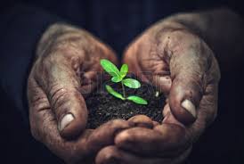 Recordemos que el agricultor está al frente de la riqueza&nbsp;gastronómica