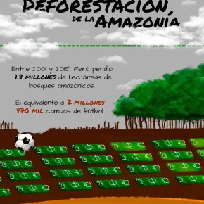 Deforestación de la Amazonía: Casi 2 millones de hectáreas de bosques perdidos.Infografía SPDA
