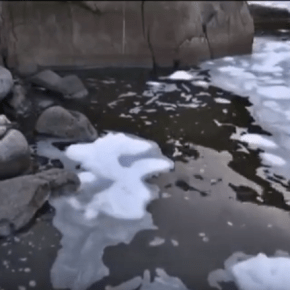 El Río Santiago es el más contaminado de México. Tocarlo puede ser&nbsp;mortal.