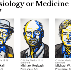 Premio Nobel de Medicina 2017 por Descubrimiento de Mecanismos moleculares que controlan el ritmo&nbsp;circadiano
