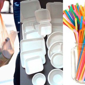 Ley de plásticos en Perú regula fabricación e importación de plásticos de un solo&nbsp;uso