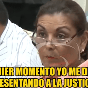 Al sistema de justicia de Perú cuando se le escapan las tortugas comete injusticias y denota desarticulación&nbsp;ministerial
