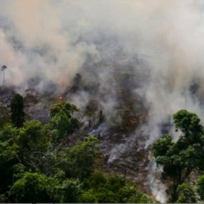 Sobre incendios forestales en Amazonia brasileña, ¿Mentalidad colonialista?, por Elizabeth&nbsp;Salmón/Idehpucp