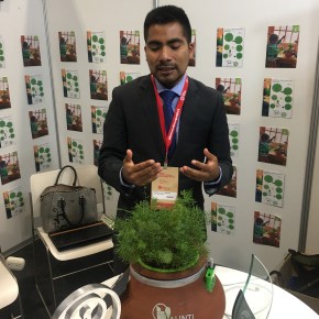 Alinti: Electrones de microorganismos en plantas + celdas solares generan energía&nbsp;eléctrica