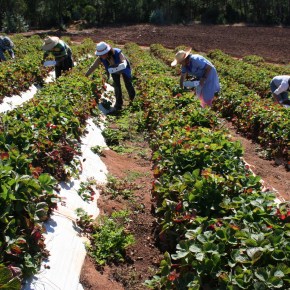 CAF destinó más de USD 70 millones para entidades microfinancieras de América&nbsp;Latina