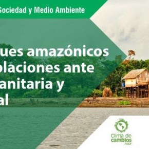 Los bosques amazónicos y sus poblaciones ante la crisis sanitaria y ambiental: Webinar INTE-PUCP&nbsp;gratuito