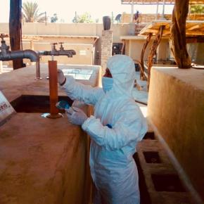 Exportación de pisco cayó a  -59% en periodo enero-mayo&nbsp;2020