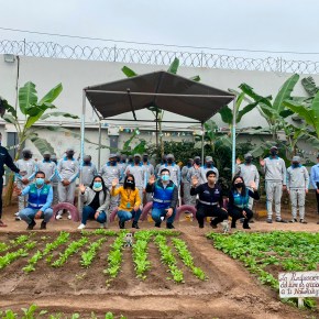 Con instalación de jardín educativo MML promueve la reinserción social en centro juvenil de Diagnóstico y Rehabilitación&nbsp;Maranguita