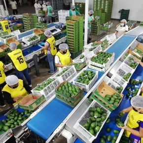 Exportaciones regionales de Perú al mundo cayeron -14% en primer bimestre del&nbsp;2022