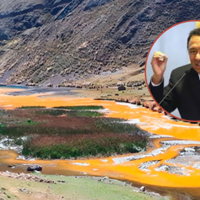 »No hay contaminación en las plantas por residuos de metales en las aguas. Los metales en el agro funcionan más bien como un nutriente para las plantas» Ministro de Agricultura de Perú sobre informe ANA de aguas contaminadas por metales pesados en el río Santa, Áncash 