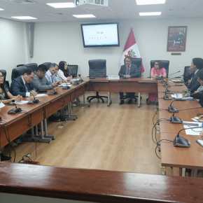 Efectos en el agro y salud de la población en alerta por la venta ilegal del plaguicida clorpirifós en Perú: Pronunciamiento de Adex en mesa de trabajo de la Comisión de Salud y Población del Congreso de la&nbsp;República