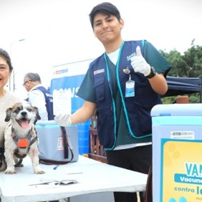 Vacunas gratuitas contra la rabia canina en territorio peruano: «Por un Perú sin rabia: ¡Vacuna a tu perro!» VANCAN&nbsp;2026