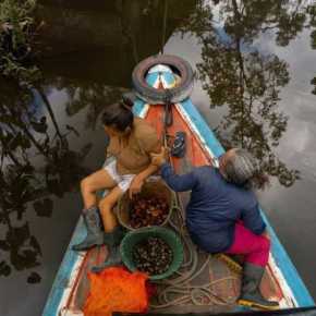 Creciente compromiso de la industria cosmética con la protección de la biodiversidad y los recursos genéticos que  usan en la industria provenientes de la Amazonía peruna. Un ejemplo es Natura, con más de 2 millones de hectáreas de bosque amazónico: Copecoh de la CCL sobre sus empresas&nbsp;asociadas